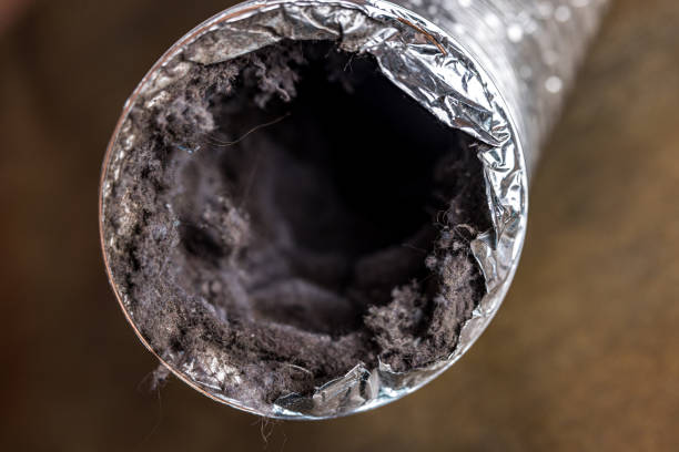 Best Ventilation Cleaning Services  in Larch Y, WA