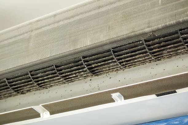 Best Best Air Duct Cleaning Company  in Larch Y, WA