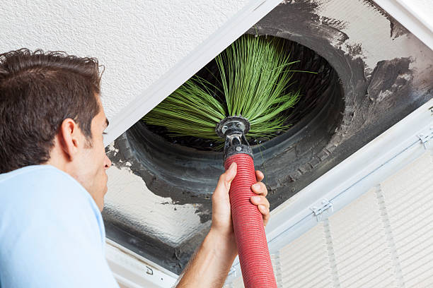 Best Professional Duct Cleaning Services  in Larch Y, WA
