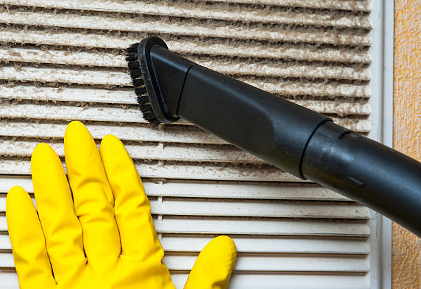 Best Affordable Duct Cleaning Services  in Larch Y, WA